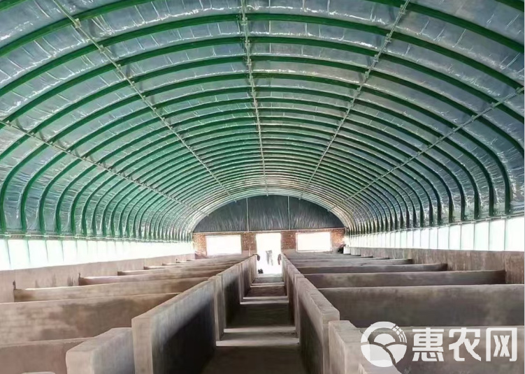 大棚设施全解析 从骨架到材料，打造高效种养殖空间