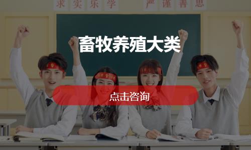 济南畜牧养殖大类